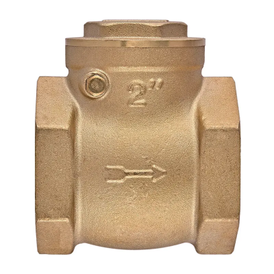 Клапан зворотній пелюстковий Koer KR.174-50 - 2" Т-подібний (KR5263)