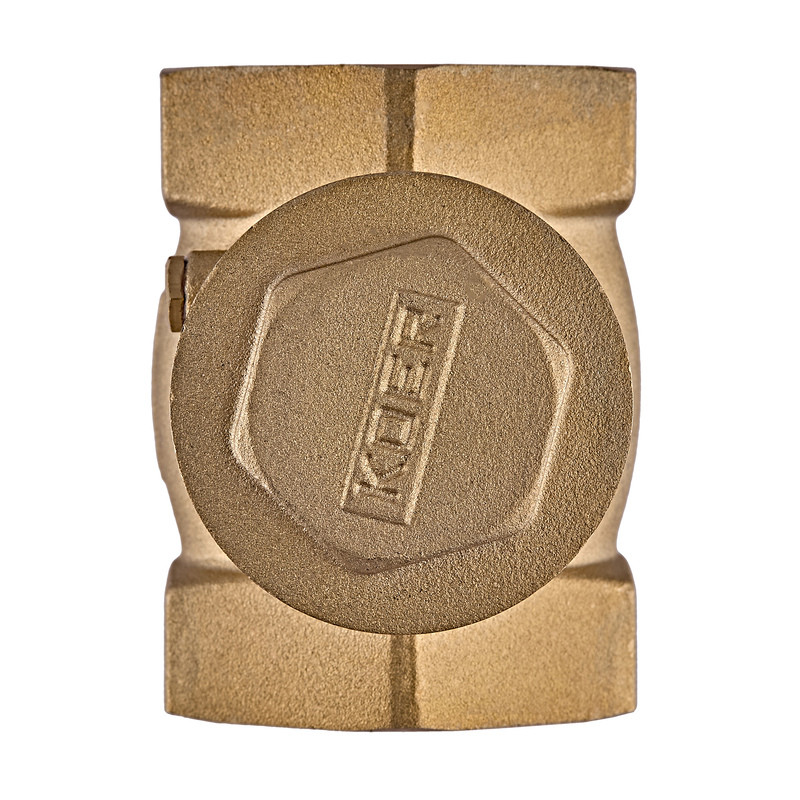 Клапан зворотній пелюстковий Koer KR.174-50 - 2" Т-подібний (KR5263)