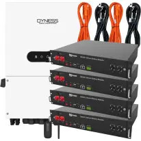 Комплект сполучних кабелів для Dyness B4850