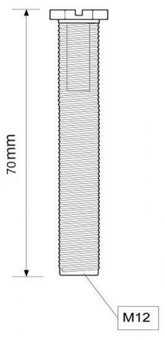Шуруп для сита стиральной машины или мойки L-70 мм. BRBOLT70